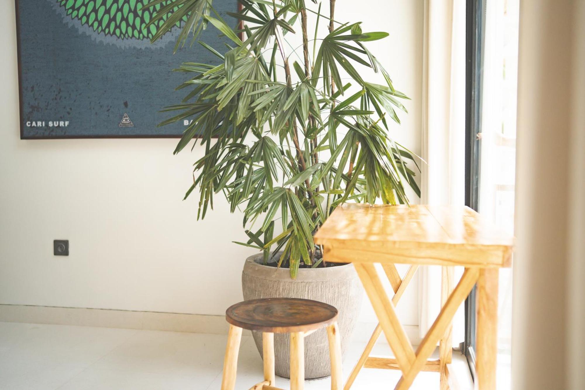 Cari Surf Camp & Studio'S Uluwatu Habitación foto